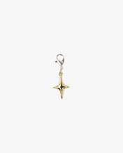 Glitter Fever Charm