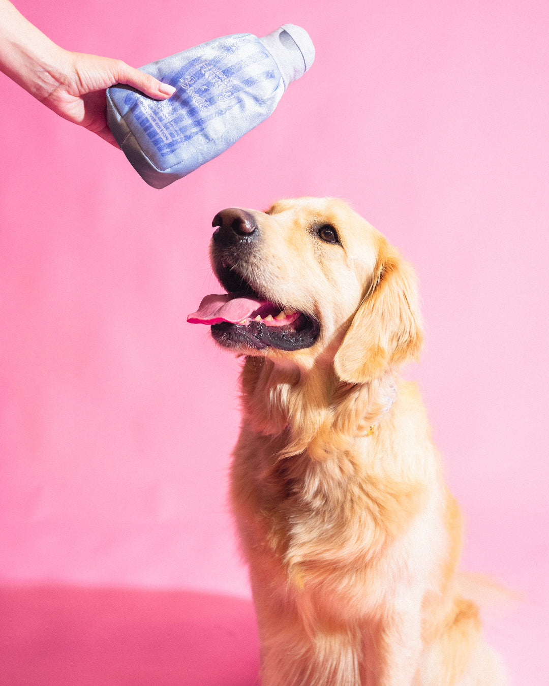 Peluche Gel x Bandit