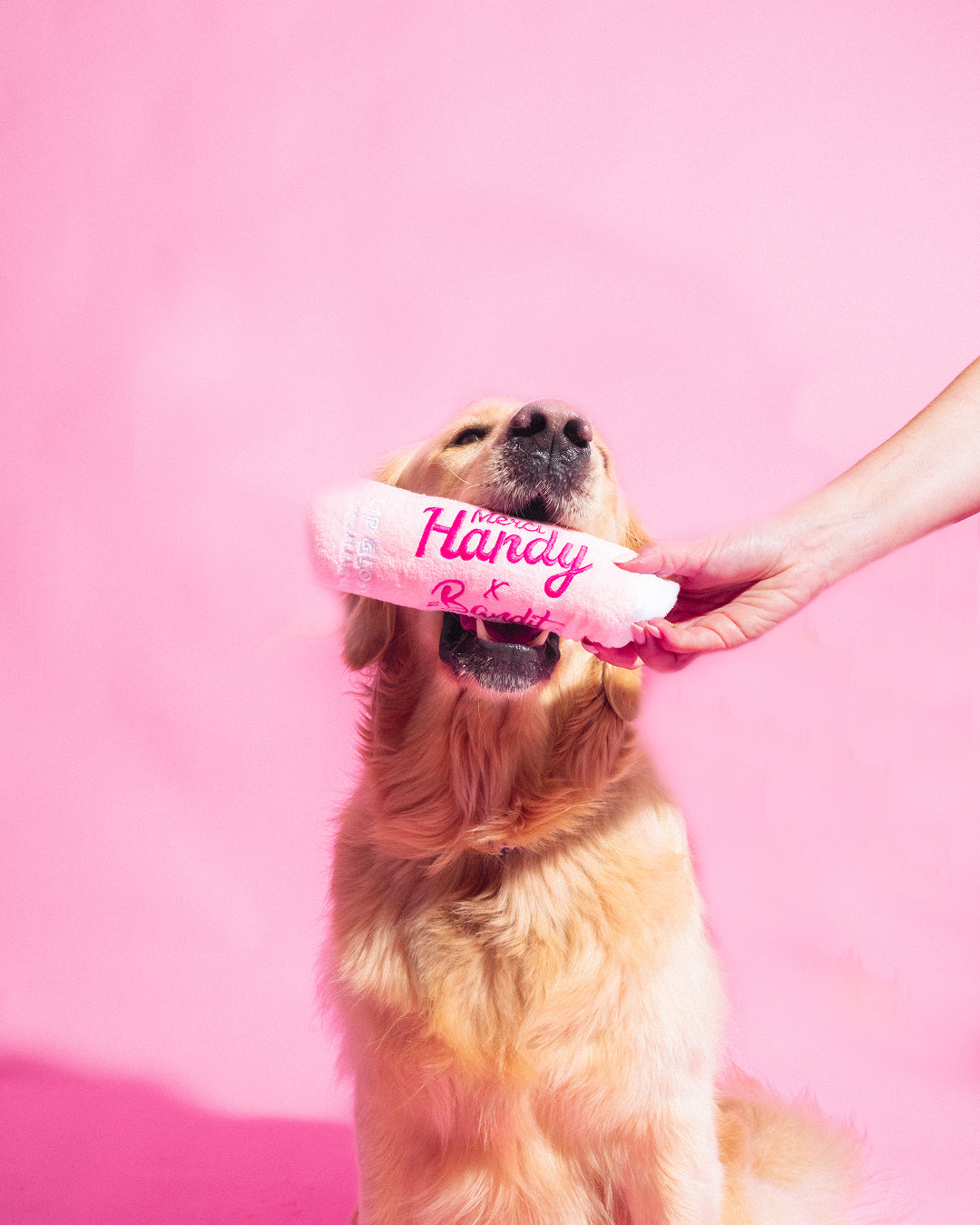 Master Pack Bandit : Shampoing + Peluches