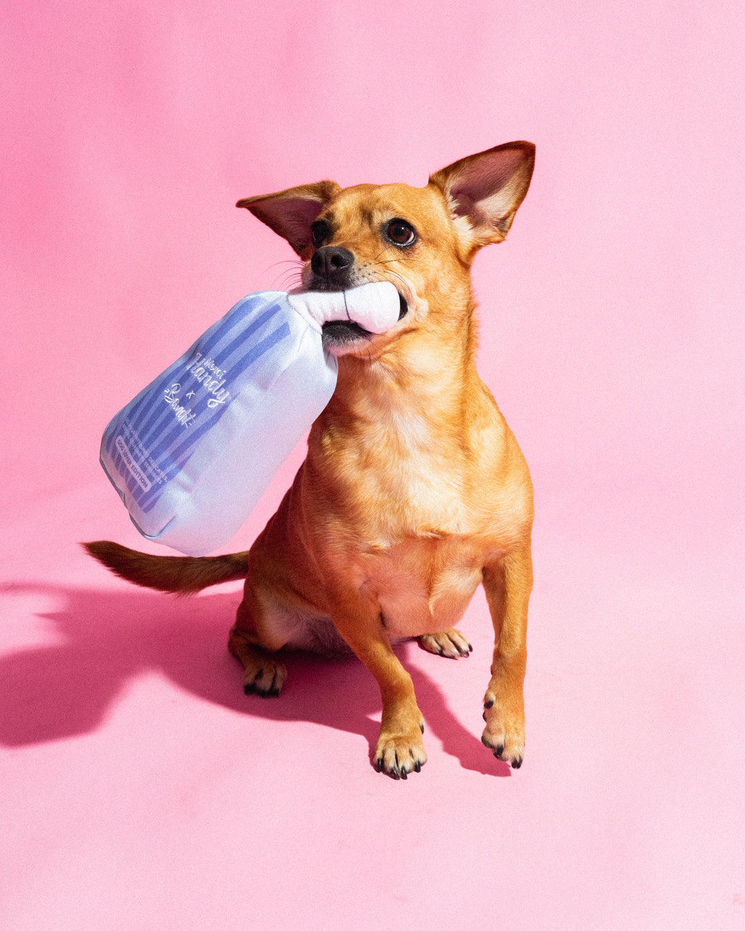 Master Pack Bandit: Shampoo + Soft toys