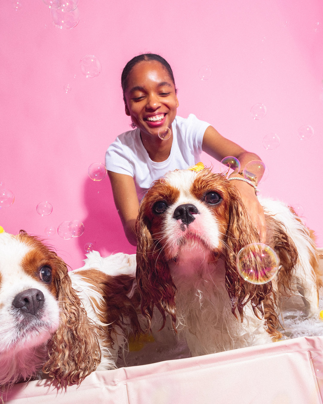 Pet Shampoo x Bandit