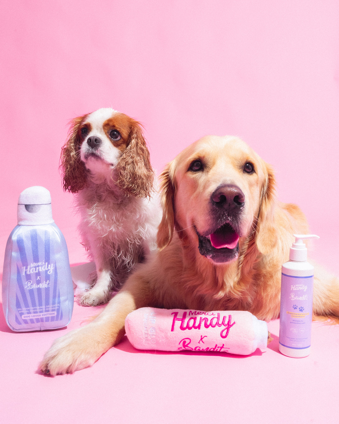 Peluche Gel x Bandit