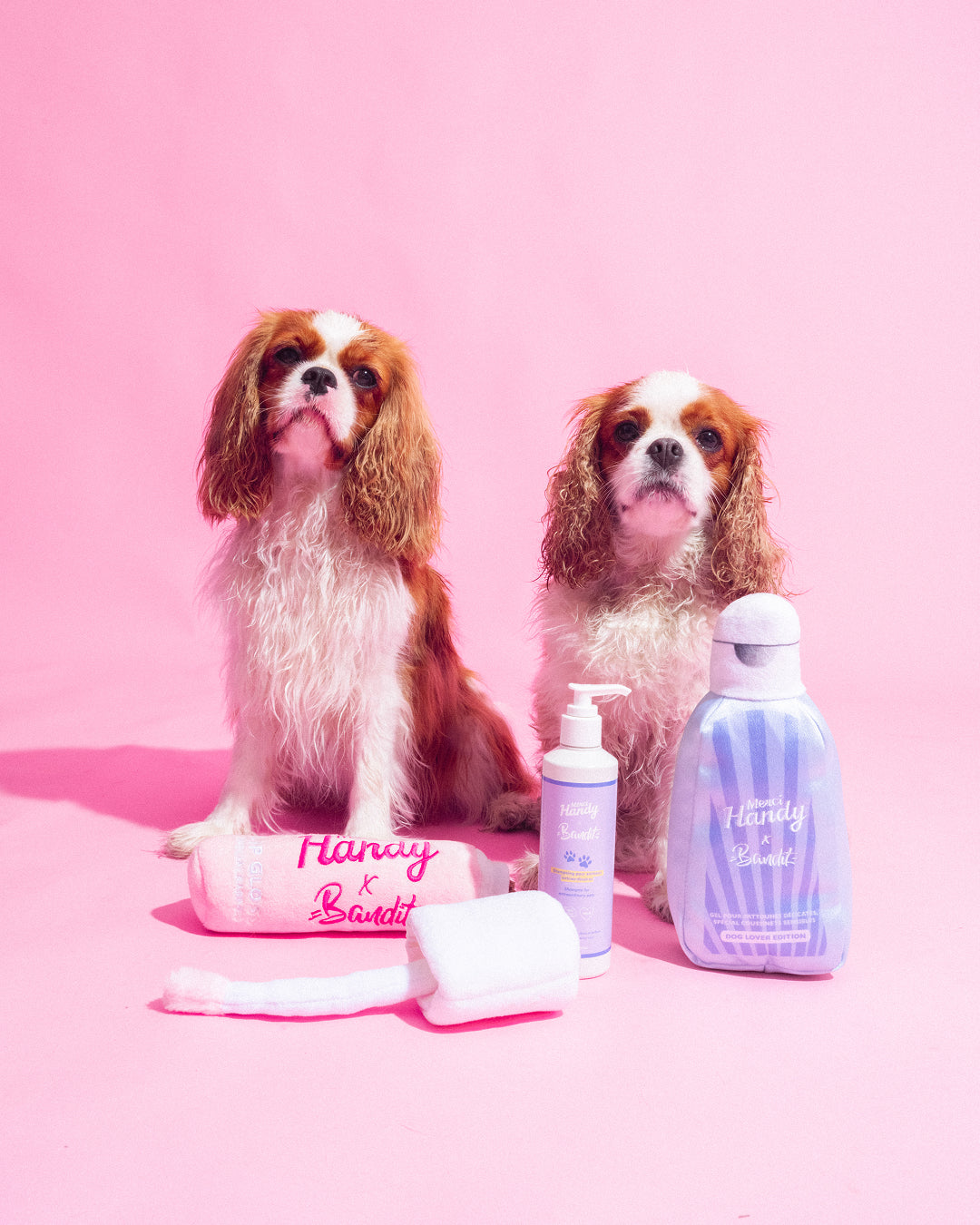 Shampoing Animaux x Bandit