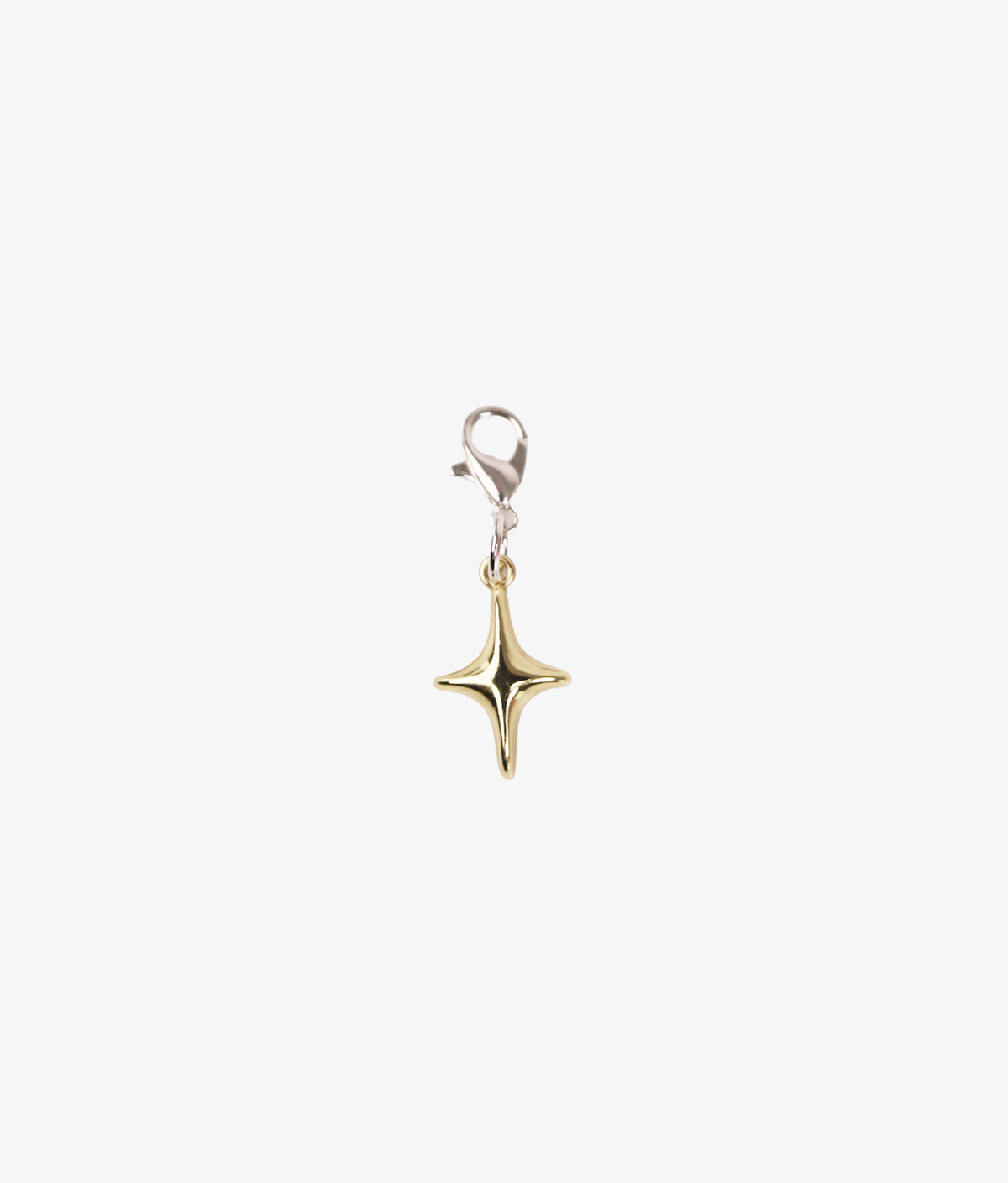 Glitter Fever Charm